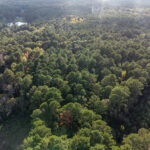 Pat Luckett Road -Land-6