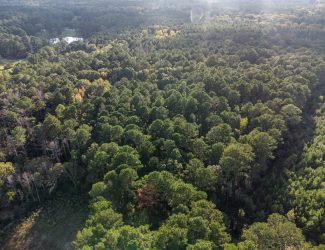 Pat Luckett Road -Land-6